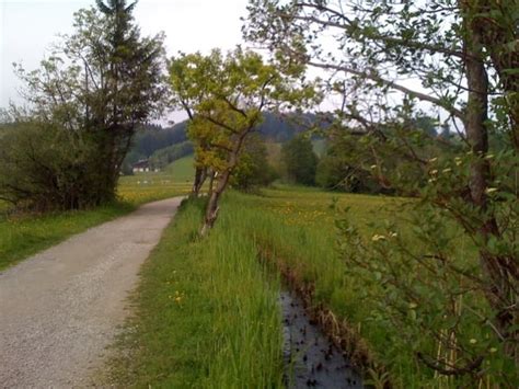 Laufen Rund Um Den Fuschlsee Tour