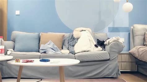 China Amateur 0945 Xasiat