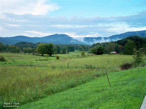 Wears Valley TN Photograph by Maxine Billings