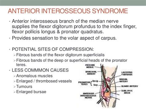 Upper Extremity Nerve Entrapments