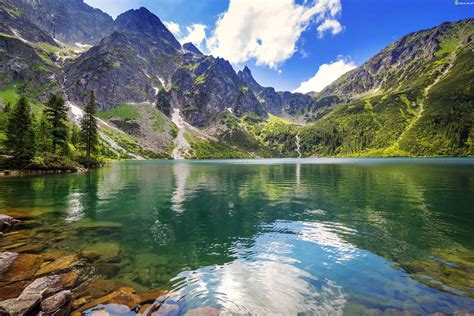 Zdjęcie Polska Góry Tatry Jezioro Morskie Oko Lato Drzewa