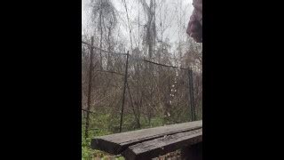 Free Outdoor Humping Porn Videos From Thumbzilla