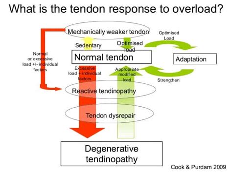 Treating Achilles Tendinopathy with Barbell Rehab