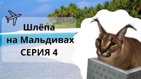 Шлёпа на Мальдивах 4 серия - YouTube