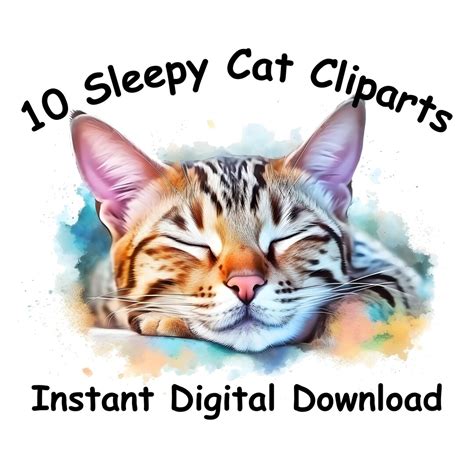 10 Sleepy Cat Watercolor Cat Clipart Watercolor Clipart Digital ...