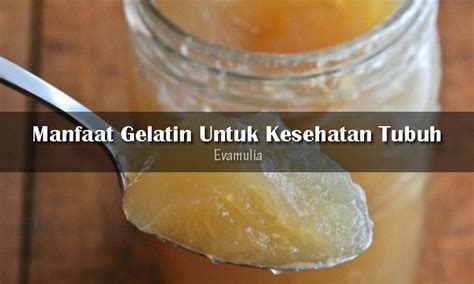 Manfaat Gelatin Untuk Kesehatan Tubuh Eva Mulia Clinic