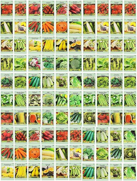 100 Organic Assorted Heirloom Vegetable Seeds 100% Non-gmo Survival ...