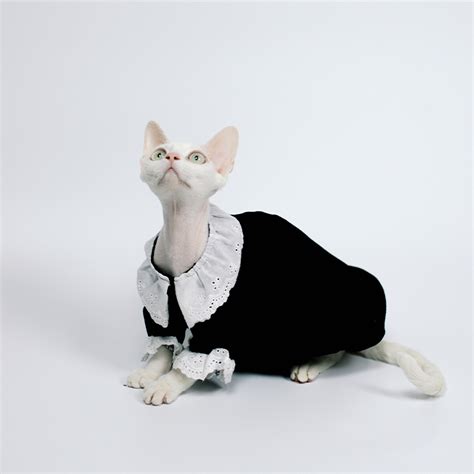 Vintage Cat Dress – Sphynx Hairless Cat Dark Style Cat Clothes – Miza Pet