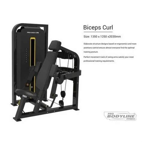 Biceps Curl Machine For Gym At Rs 55000 In Jalandhar ID 20968514562