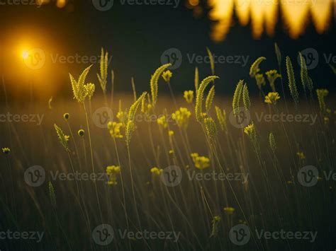 Ai Generated Abstract Soft Focus Sunset Field Landscape Of Yellow Flowers And Grass Meadow Warm