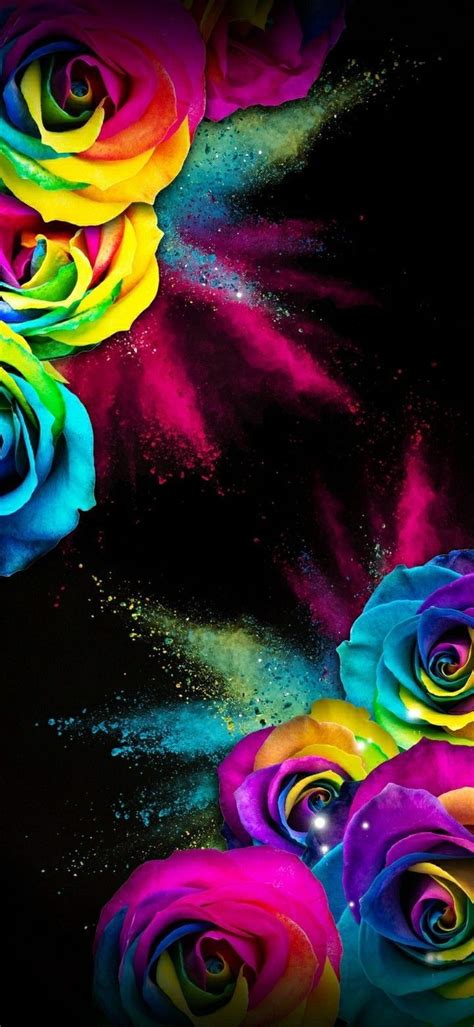 Colorful Rose Wallpaper