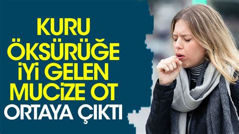 Kuru Ks R E Iyi Gelen Mucize Ot Ortaya Kt