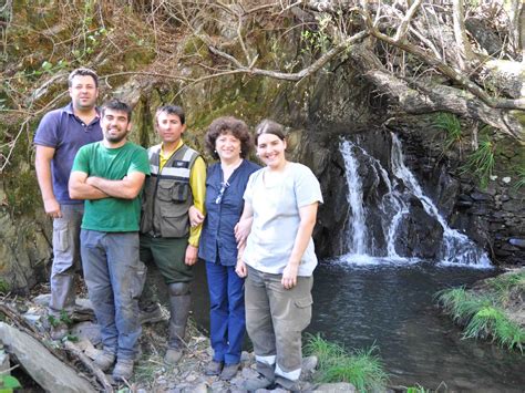 Câmara Municipal de Figueiró dos Vinhos Parceiros Starlight Aldeias