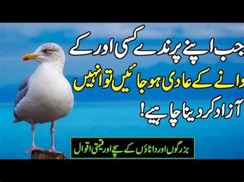 Golden Words In Urdu Sunehri Aqwal Collection Of Beautiful Quotes