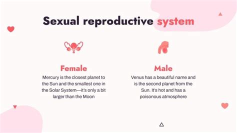 Human Sexuality Lesson For High School