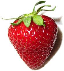 Morango Do Tá Chovendo Hambúrguer - Morango – Wikipédia, a enciclopédia livre