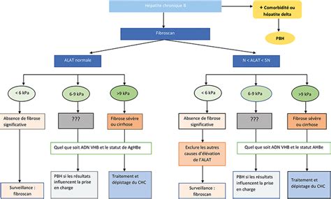 H Patite Virale B Rappel Des Fondamentaux Fmc Hge