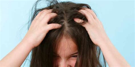 Come Eliminare I Pidocchi Dai Capelli Ecco Cosa Fare Subito