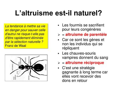 PPT - Altruisme et égoïsme (SSH5502, 2 e séance) PowerPoint Presentation - ID:718552