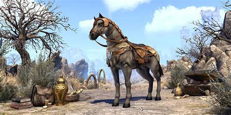 Treasure Hunters Horse Elder Scrolls Fandom