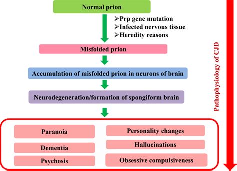 Pathophysiology of Creutzfeldt Jakob disease (CJD): Factors like ...