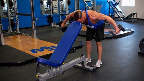 Bent Over Rear Delt Fly Head On Bench Video Exercise Guide Tips