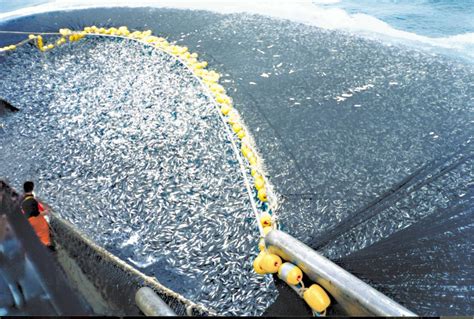 Overfishing - Great barrier Reef