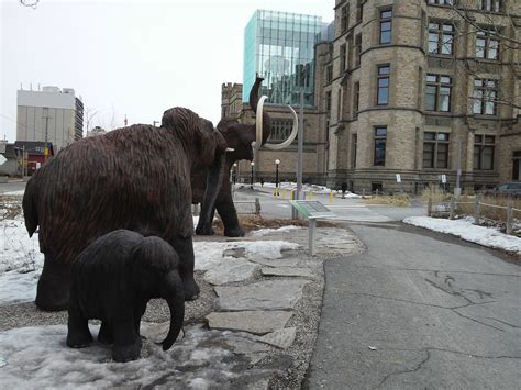 Ottawa Daily Photo: Museum Of Nature