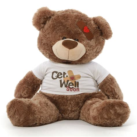 Adorable Big Get Well Soon Teddy Bears in 3 colors with custom shirt ...