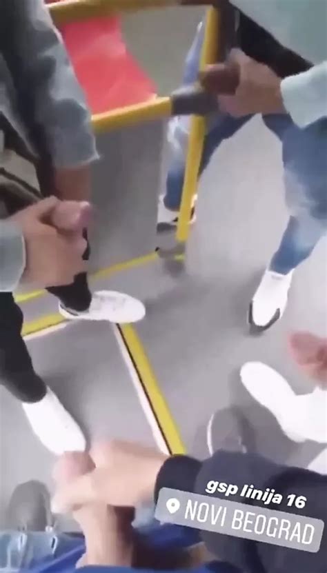 Belgrade Bus Free Gay HD Porn Video 97 XHamster XHamster