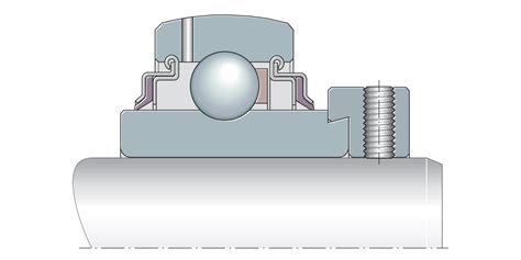 Radial Insert Ball Bearings Schaeffler Medias