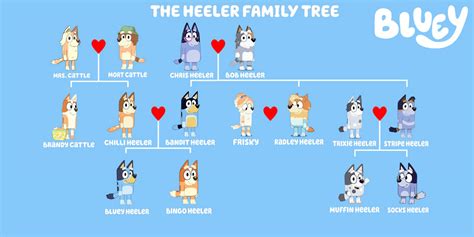 The Heeler Family Tree by TomsterTheSecond on DeviantArt