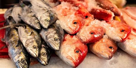 Llaman a consumir pescados y mariscos frescos de producción nacional