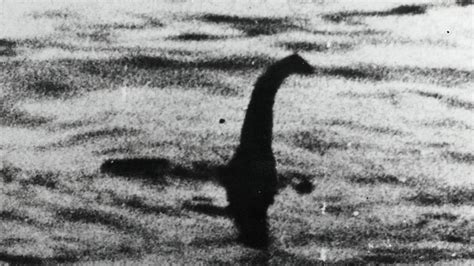 Loch Ness Monster Spotted On Sonar Again As Mysterious Shape Detected