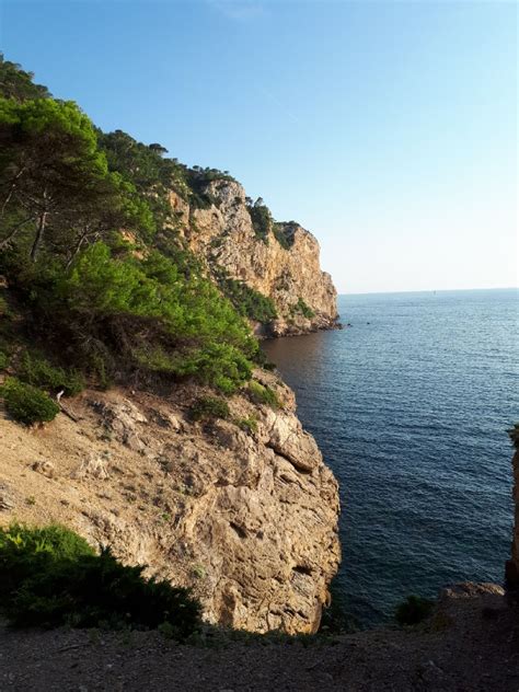 Randonnée Marche à Saint Cyr Sur Mer Calanque Du Cap Dalon Sentier