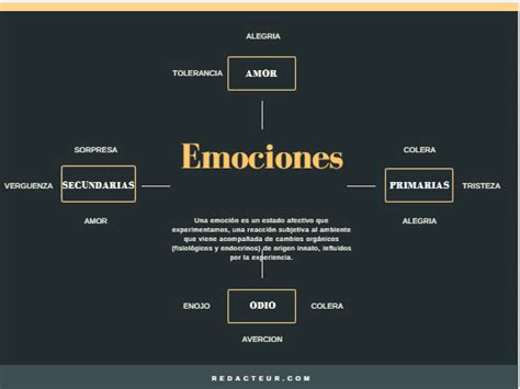 Mapa Mental De Emociones Tienes Que Saber Esto Images