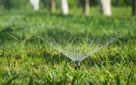 Best Sprinklers for Large Lawns