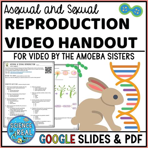 Asexual And Sexual Reproduction Amoeba Sisters Video Handout Science Is Real Education