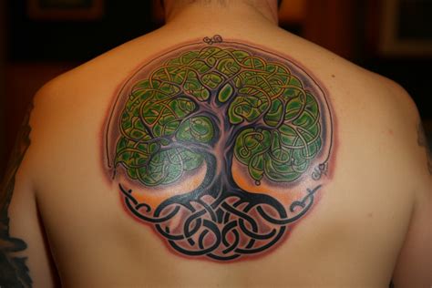 Celtic Tree Of Life Tattoo Meaning And Symbolism Fully Decoded