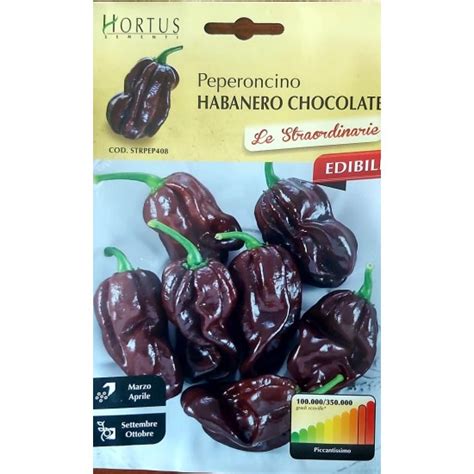 Пипер Хабанеро Шоколад / Habanero Chocolate• Магазин за семена ...