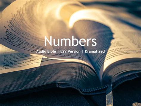 Numbers – The Controversial Delay to the Promised Land – 4th Book in ...