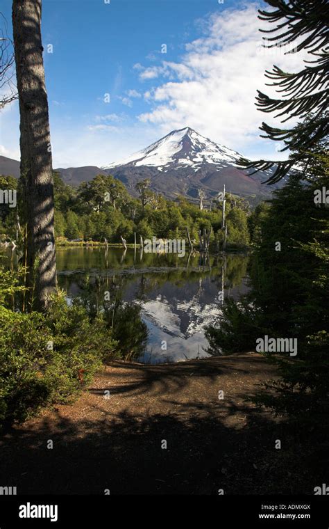 Conguillio National Park Stock Photo, Royalty Free Image: 13456105 - Alamy