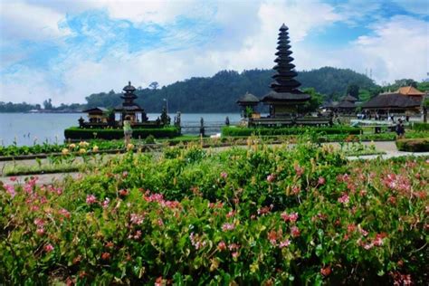 Bali Private Tour Guide Bedugul 2022 Qué Saber Antes De Ir Lo Más