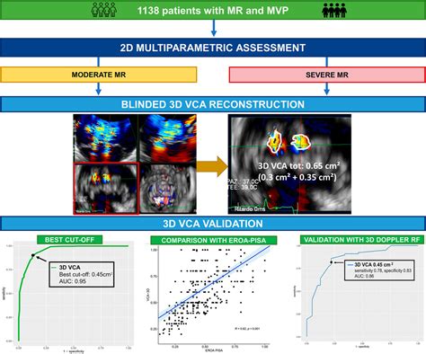 Quantification Of Mitral Regurgitation In Mitral Valve Prolapse By