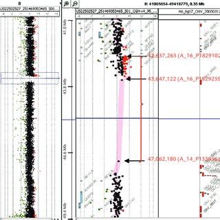 Oligonucleotide Based Array Comparative Genomic Hybridization ACGH