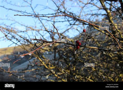 The Peak District in Winter Stock Photo - Alamy