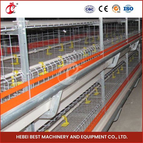 Bestchickencage H Frame Broiler Cages China Chicken Coop Chicken House