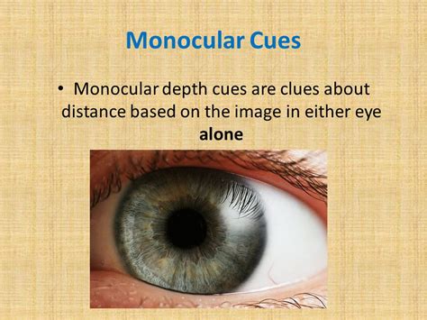 Depth Perception Monocular And Binocular Depth Cues Ppt Video