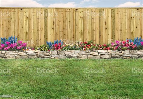 Empty Backyard With Green Grass Wood Fence And Flowerbed Stock Photo