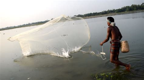 Traditional Net Fishing In River Traditional Cast Net Fishing In